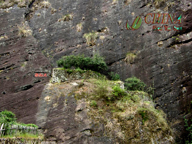 Chinese Big Red Pao TEA wonderful famous oolong tea * Special Grade